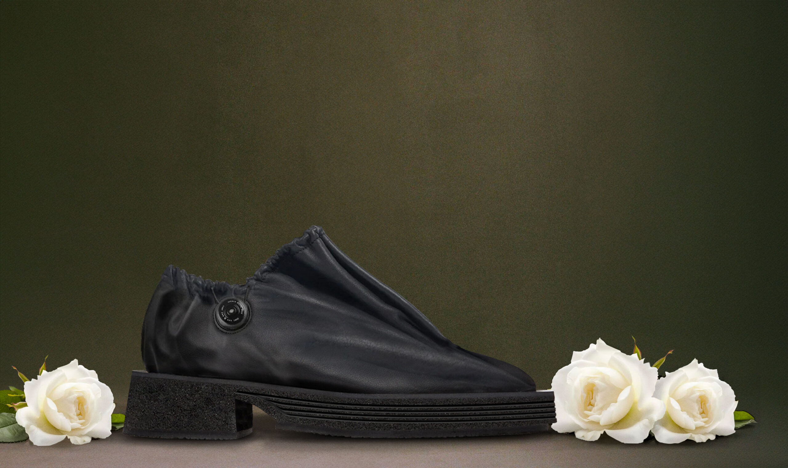 SHROOUD_wide_artwork